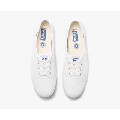 KEDS - CHAMPION ORGANIC CANVAS  - KED-WF64811 - BLANC